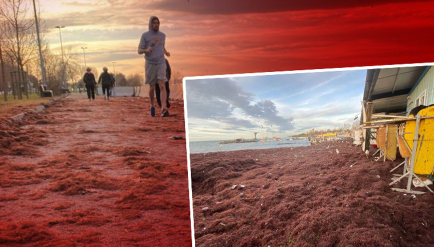 Caddebostan sahilinde yine aynı görüntü Kırmızıya büründü