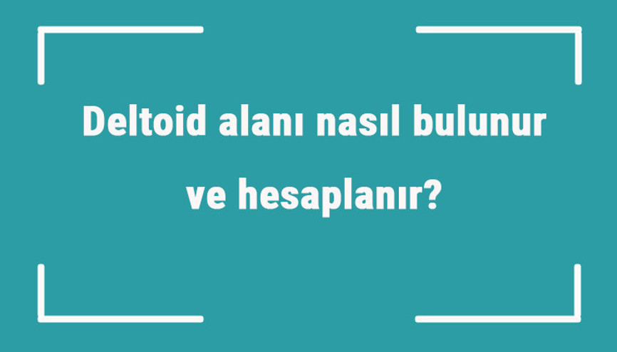 Deltoid alanı nasıl bulunur ve hesaplanır Formülü ve örnekleri ile deltoid alanı hesaplama