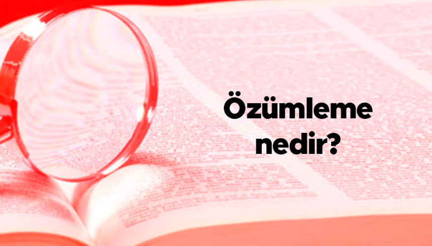 Özümleme nedir Özümleme yapmak nedir Özümleme reaksiyonu örnekleri