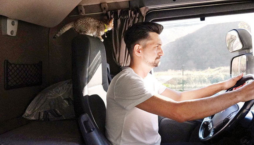 Patili yol arkadaşı