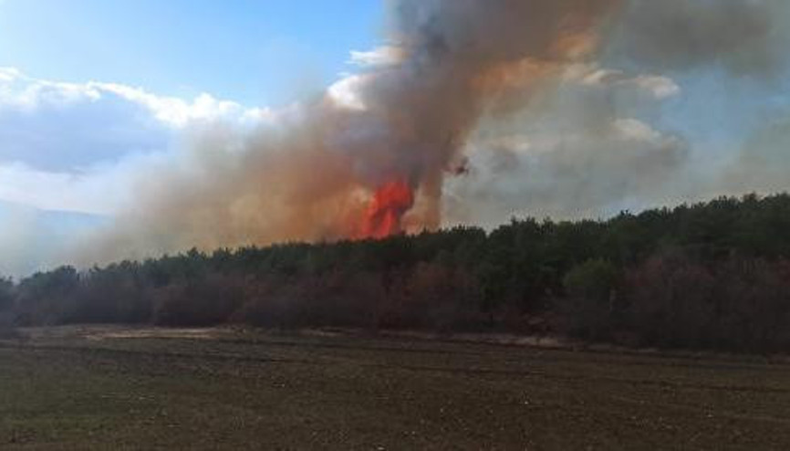 Son dakika... Tokatta orman yangını