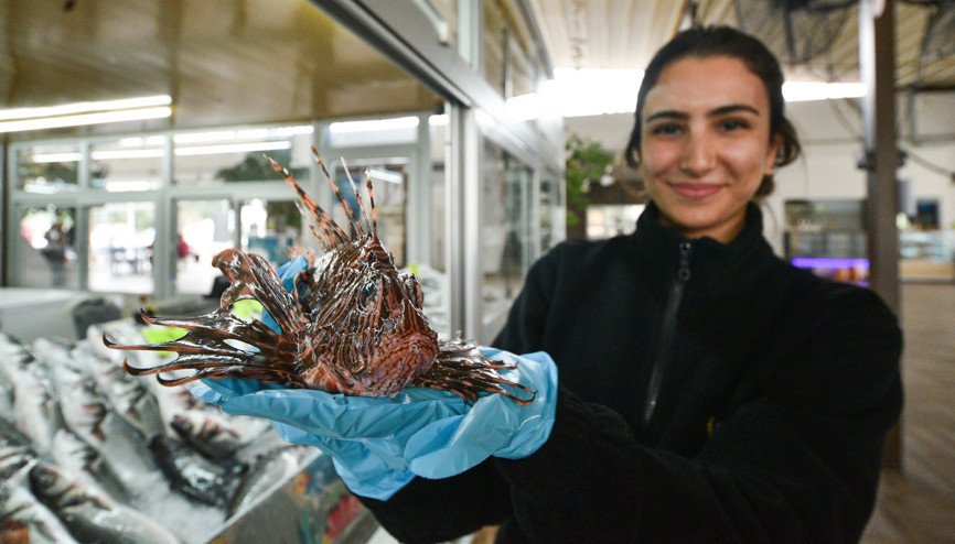 Kilosu 150 lira... Zehirli olmasına rağmen yok satıyor