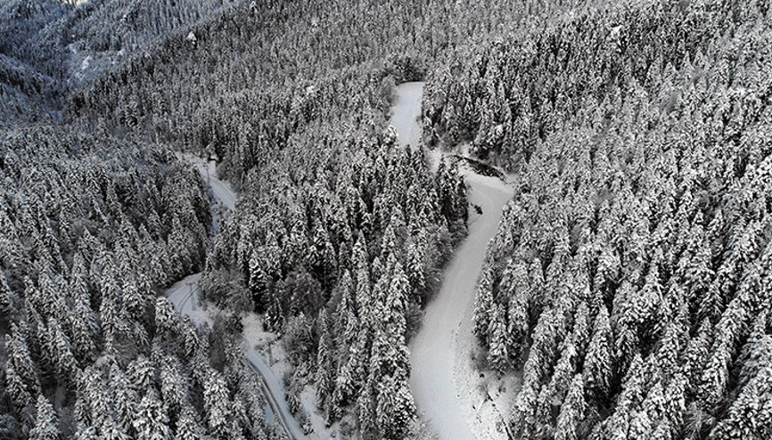 Yedigöller yolu ulaşıma kapatıldı