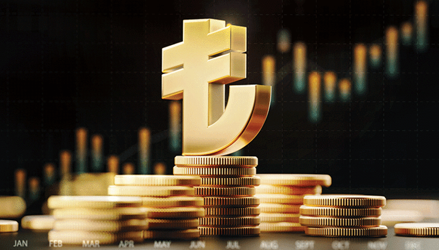 Piyasalarda Türk lirası rüzgârı