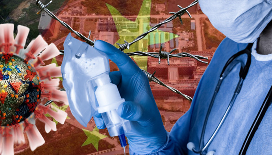 Korona sözleri pahalıya patladı... Harvard uzmanına kâbusu yaşattılar