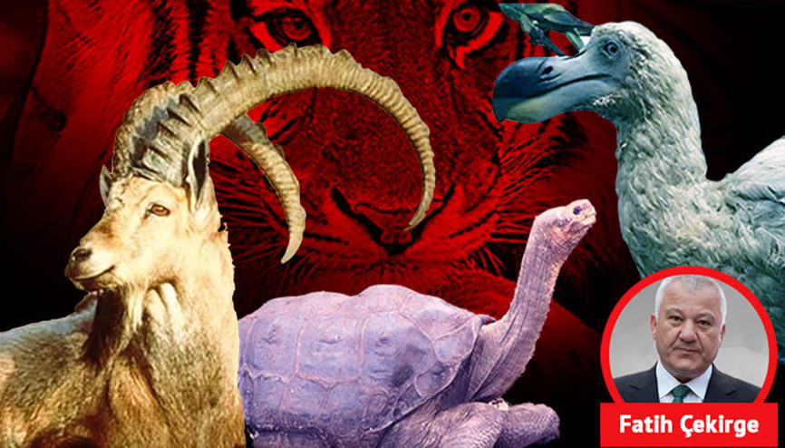 ‘Ateş coğrafyası’na yolculuk