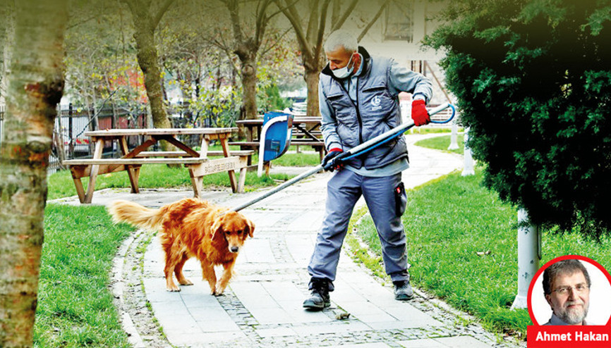 Sokak hayvanları meselesine dair çok yalın bir yazı