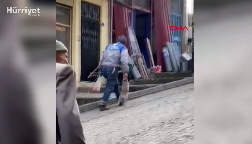 Yavru köpeği patilerinden tutup, taşıyan işçiye uyarı