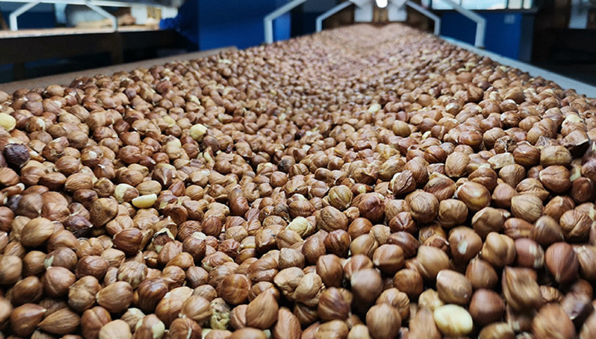 ABye fındık ihracatında sevindiren gelişme