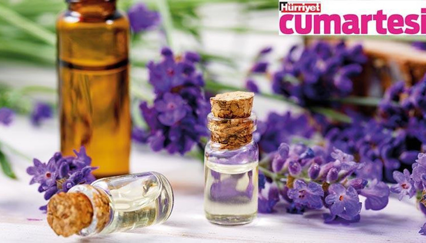 Alerji, bari sen bırak peşimizi