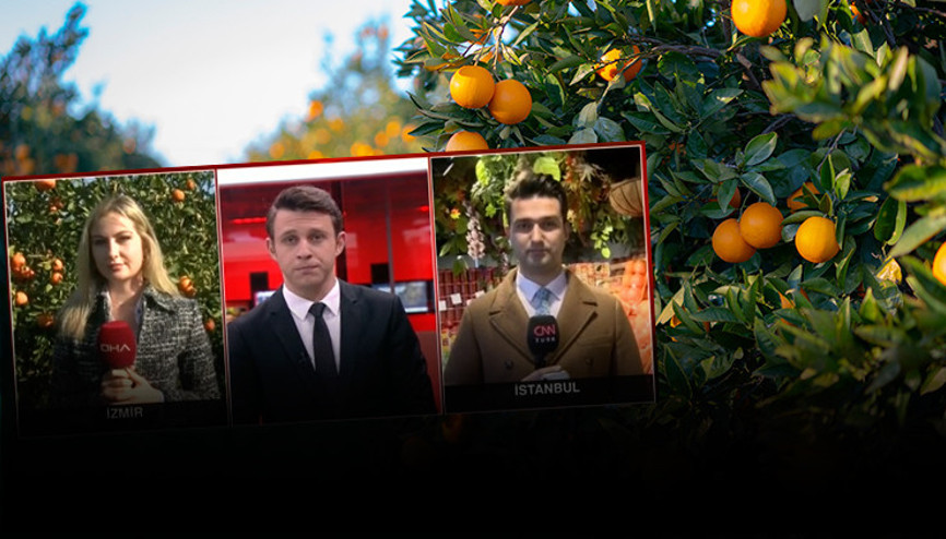 Mandalina bahçede 1.8, markette 24 lira Fiyat farkının nedeni ne