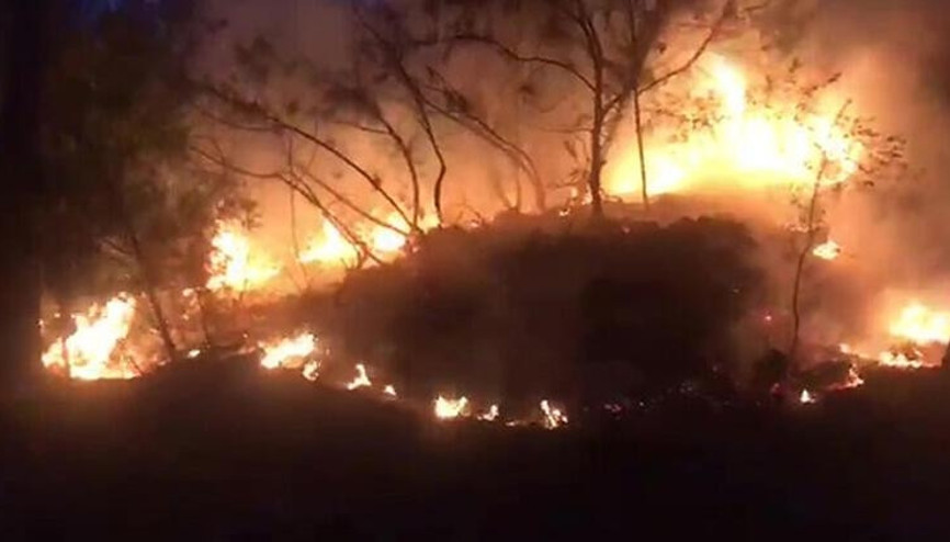 Patagonya yangını 90 bin hektar alanı küle çevirdi
