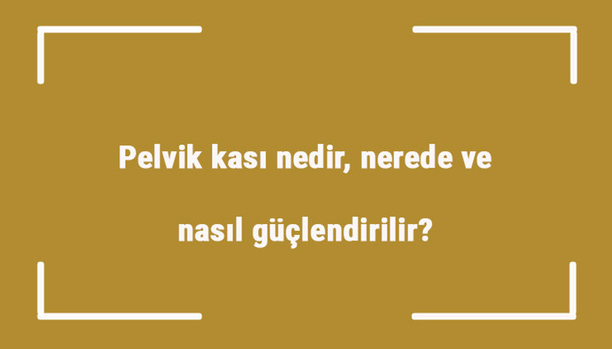 Pelvik kası nedir, nerede ve nasıl güçlendirilir Yapılabilecek pelvik kası egzersizleri (erkek & kadın)