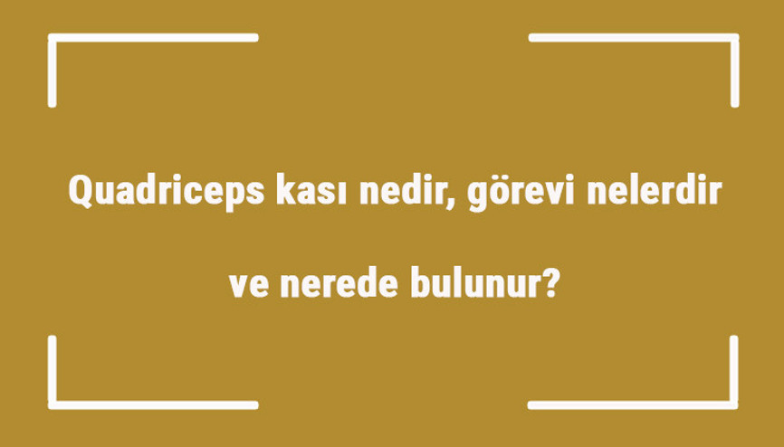 Quadriceps kası nedir, görevi nelerdir ve nerede bulunur Quadriceps güçlendirme ve geliştirme egzersizleri