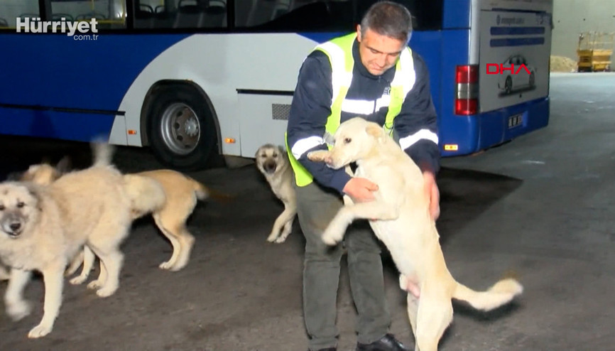 EGO şoförlüğü yapan Demir, topladığı yemeklerle 150 köpeğe bakıyor