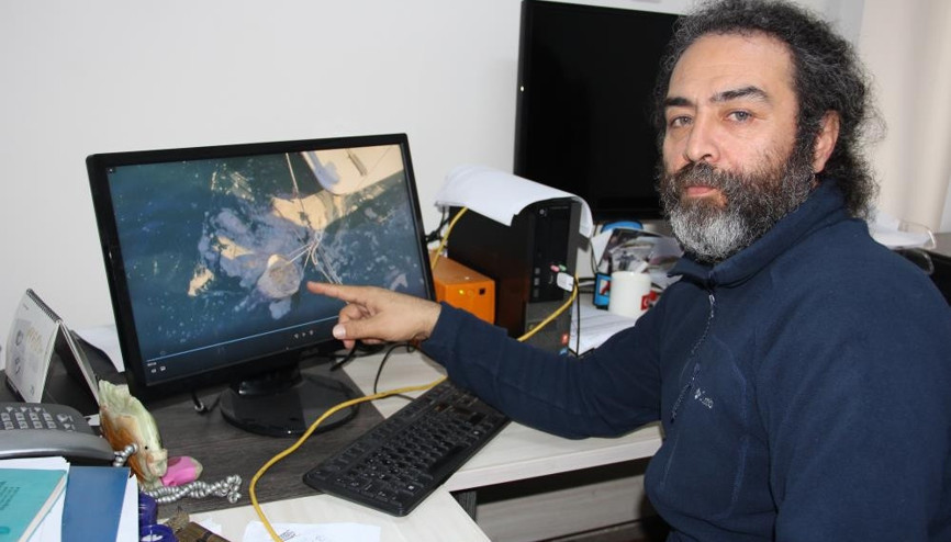 Müsilaj Mersinde de görüldü Müsilaj Mersinde de görüldü