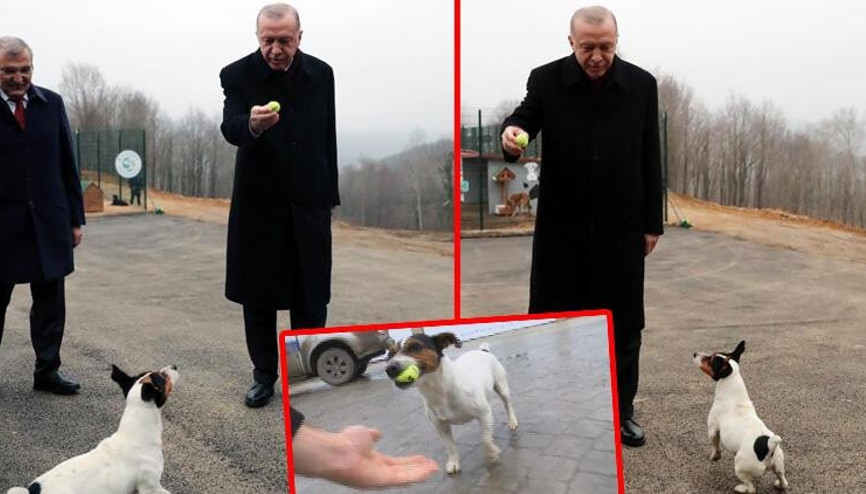 Cumhurbaşkanı Erdoğanın ilgilendiği Maylonun yürek burkan hikayesi...