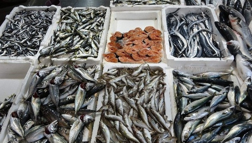 Hamsi kaçtı Tezgahlar yavru uskumruyla doldu