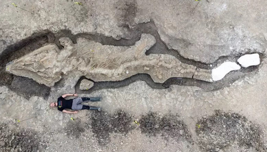 İngilterede dev deniz ejderhası fosili bulundu