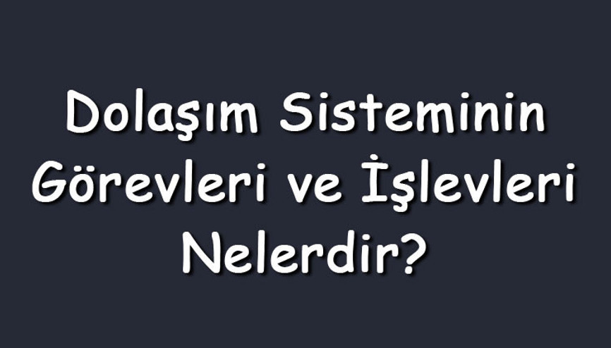 Dolaşım sisteminin görevleri ve işlevleri nelerdir (Maddeler halinde) Dolaşım sisteminin görevleri ve işlevleri nelerdir (Maddeler halinde)