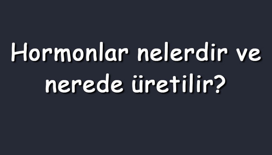 Hormonlar nelerdir ve nerede üretilir Vücutta salgılanan hormonlar ve görevleri