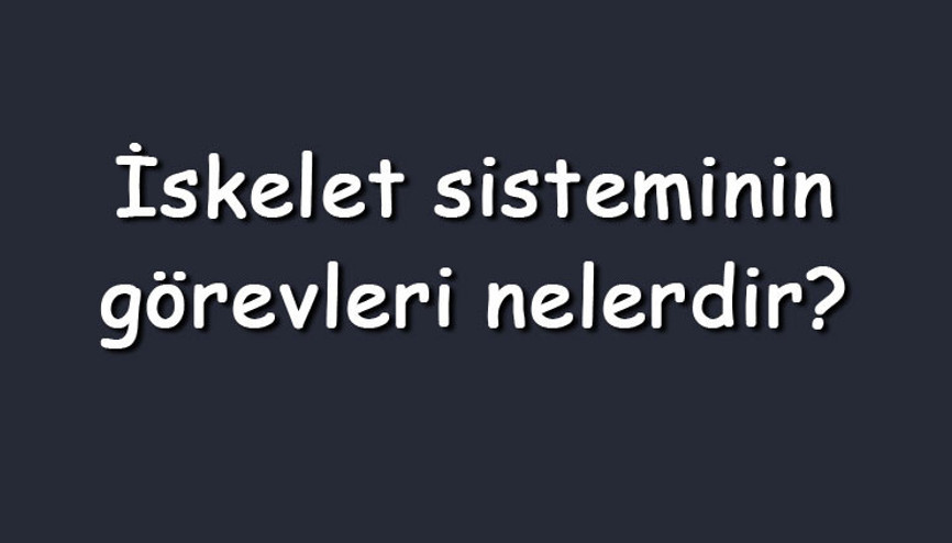 İskelet sisteminin görevleri nelerdir Maddeler halinde vücuttaki fonksiyonu İskelet sisteminin görevleri nelerdir Maddeler halinde vücuttaki fonksiyonu