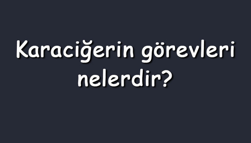 Karaciğerin görevleri nelerdir Maddeler halinde kısaca vücutta karaciğerin gerçekleştirdiği fonksiyonlar