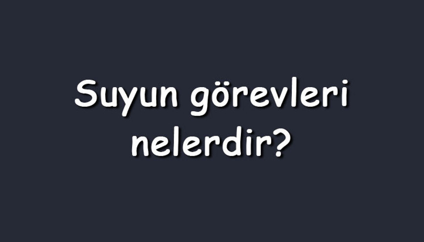 Suyun görevleri nelerdir Maddeler halinde insan vücudunda suyun işlevleri Suyun görevleri nelerdir Maddeler halinde insan vücudunda suyun işlevleri