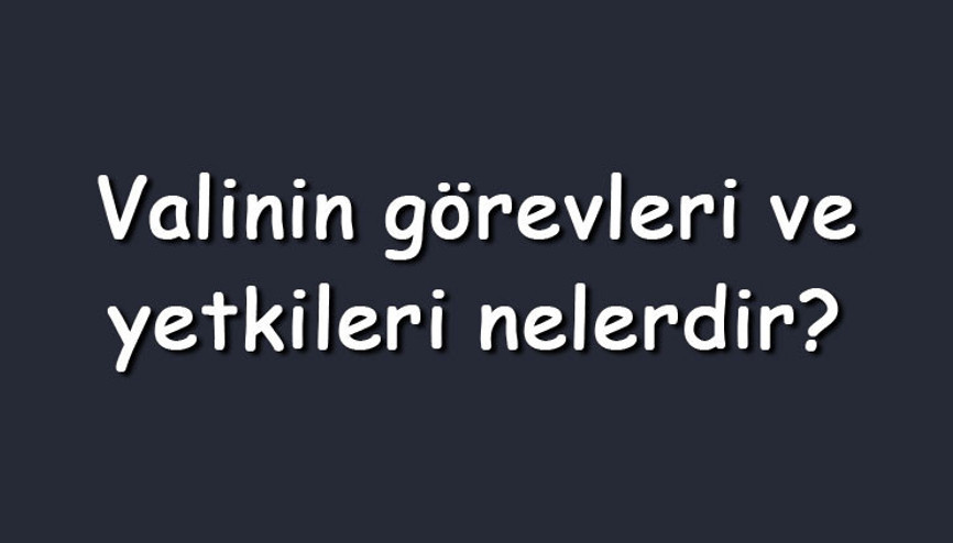 Valinin görevleri ve yetkileri nelerdir Valinin sorumlu olduğu kurumlar