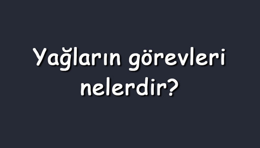 Yağların görevleri nelerdir Maddeler halinde vücuttaki yağların görevleri Yağların görevleri nelerdir Maddeler halinde vücuttaki yağların görevleri