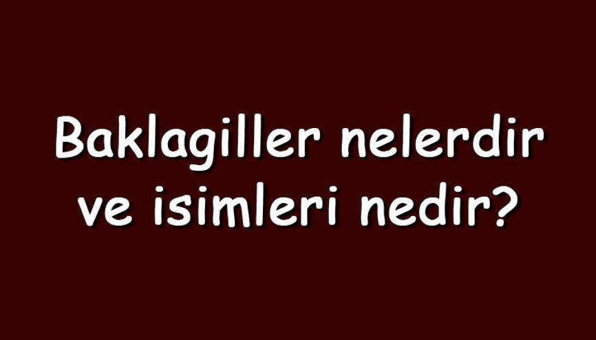 Baklagiller nelerdir ve isimleri nedir Baklagiller protein mi ve faydaları