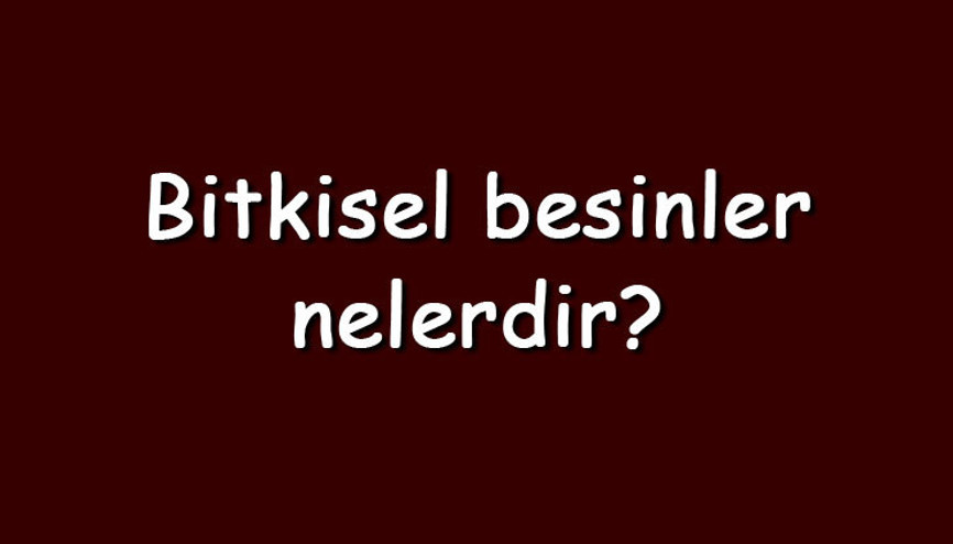 Bitkisel besinler nelerdir ve vitamin yönünden zengin midir