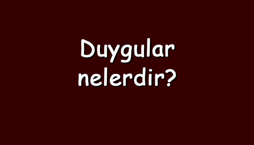 Duygular nelerdir Maddeler halinde temel, olumlu, karmaşık ve negatif duygular ile özellikleri Duygular nelerdir Maddeler halinde temel, olumlu, karmaşık ve negatif duygular ile özellikleri