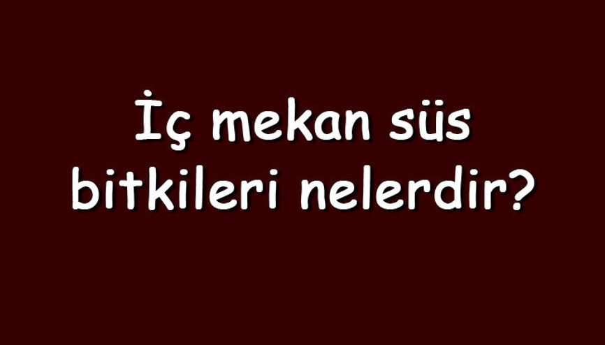 İç mekan süs bitkileri nelerdir İç mekan süs bitkilerinin isimleri ve özellikleri