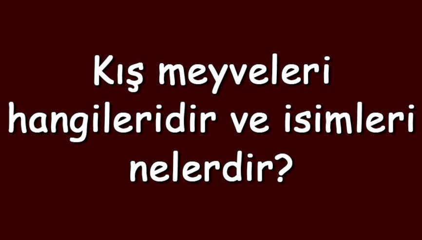 Kış meyveleri hangileridir ve isimleri nelerdir Kış meyvelerinin özellikleri ve faydaları