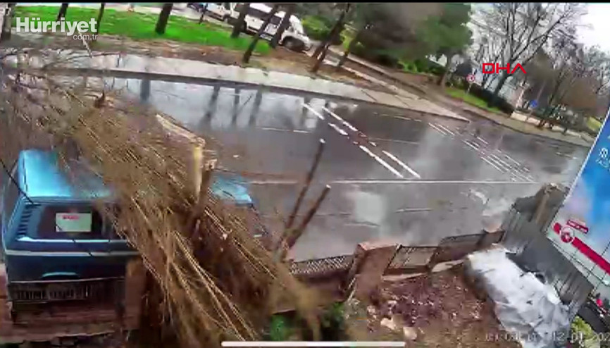 Balatta ağacın yola devrilme anı