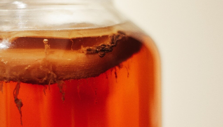 Kombucha nedir Kombucha faydaları ve özellikleri Kombucha nedir Kombucha faydaları ve özellikleri