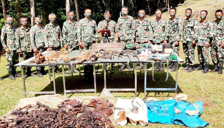 Taylandda kaplan cinayeti: 4 kişi yakalandı