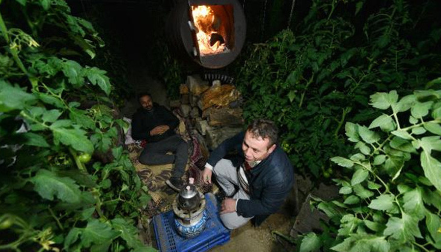 Üreticiden zirai don nöbeti: Soba yakıp çay demlediler