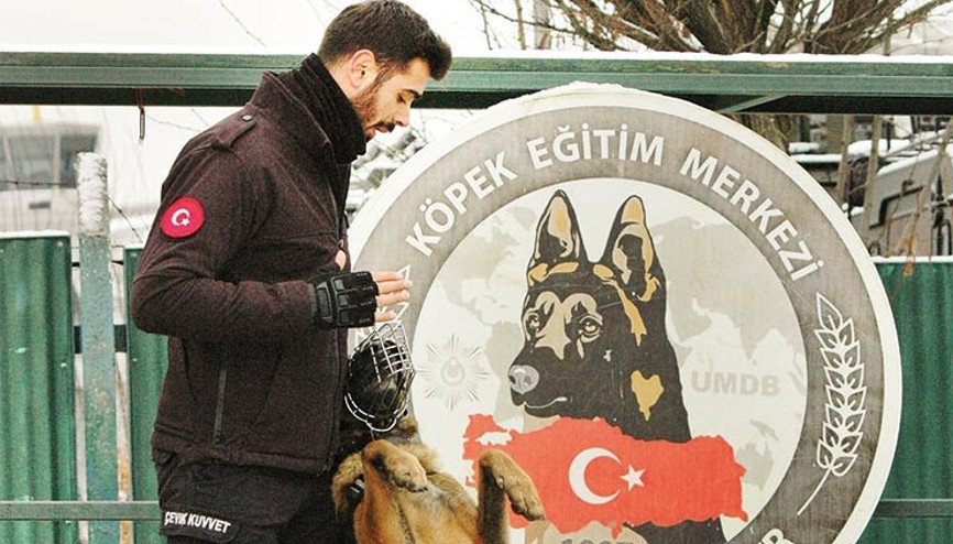 Dedektif patiler göreve hazır