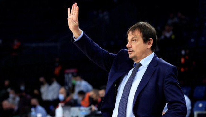 Terapi gibi galibiyet