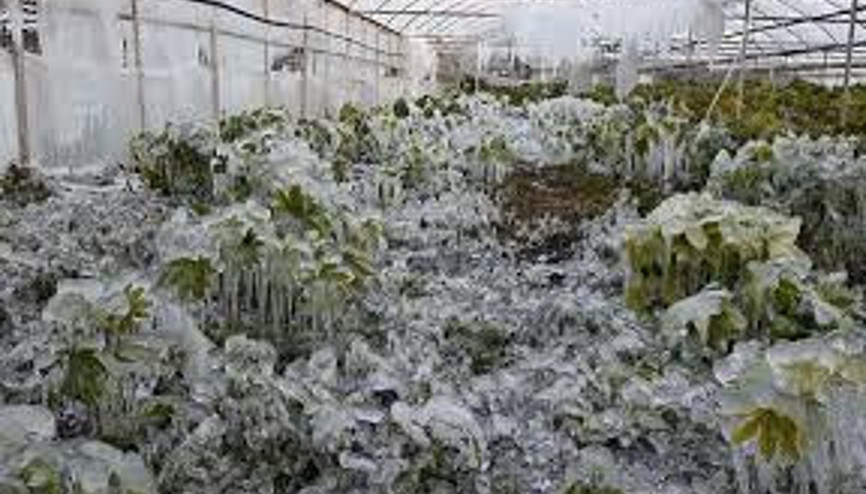 Zirai don nedir Meteoroloji Genel Müdürlüğü zirai don uyarılarını paylaşıyor