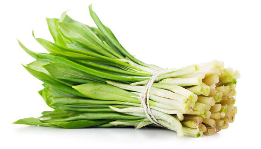 Çiriş otu nedir, faydaları nelerdir İşte, çiriş otu kullanımı ve yemekleri Çiriş otu nedir, faydaları nelerdir İşte, çiriş otu kullanımı ve yemekleri