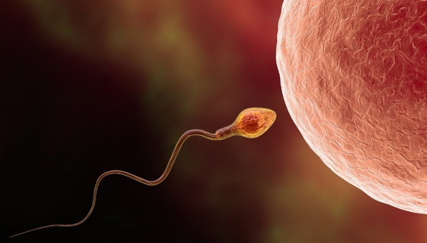 ‘Kız arkadaşımı yakaladım, ne yapacağım’ Sperm hırsızlığı hakkında merak edilenler…