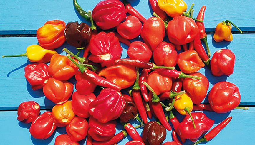 Acılar dünyasına hoşgeldiniz