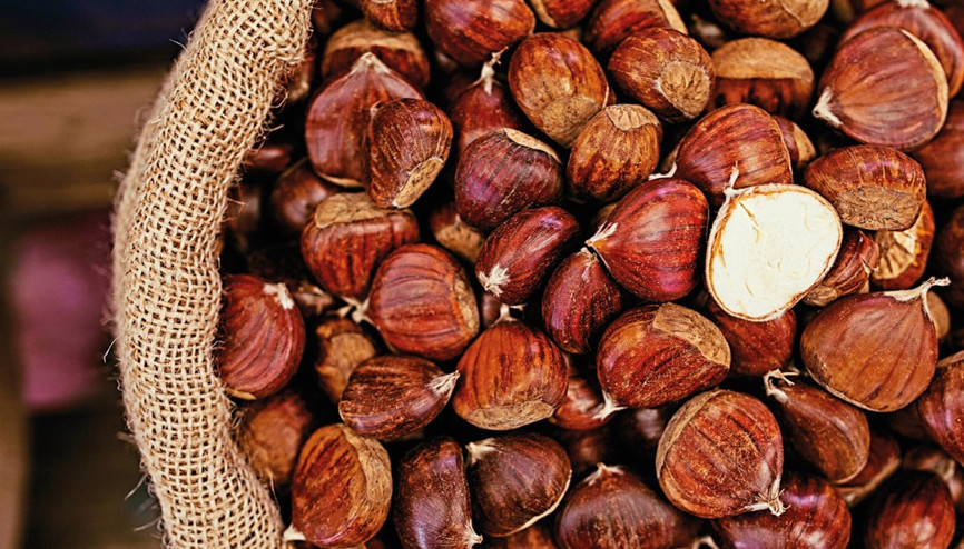 Ekmeği de olur, pastası da... Kestane Ekmeği de olur, pastası da... Kestane