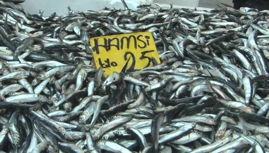 Hamsi fiyatları yarıya düştü