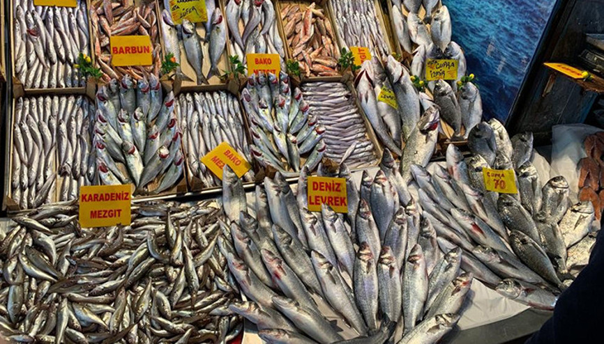 Balık tezgahlarında bolluk başladı