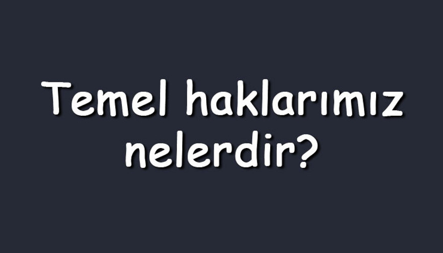 Temel haklarımız nelerdir Maddeler halinde açıklamaları ile haklarımız Temel haklarımız nelerdir Maddeler halinde açıklamaları ile haklarımız