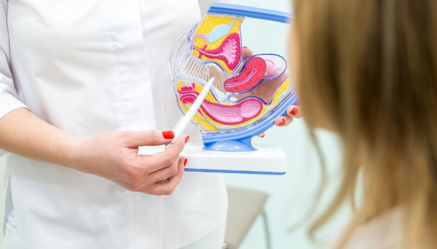 Labioplasti Operasyonunun Faydaları Nelerdir, Nasıl Uygulanır Labioplasti Operasyonunun Faydaları Nelerdir, Nasıl Uygulanır